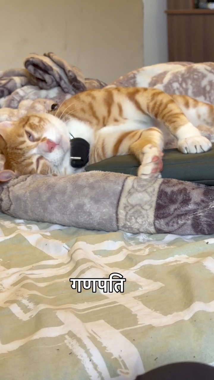 Finding the perfect sleeping angle