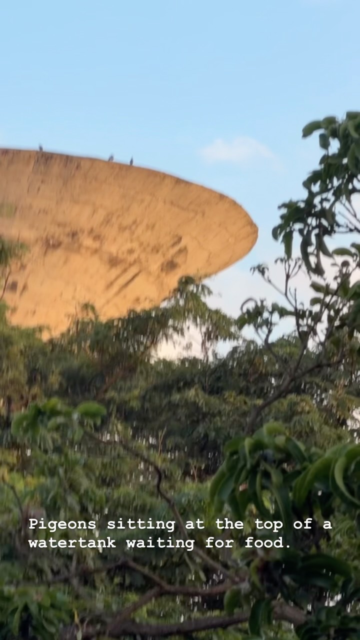 This is not a spaceship