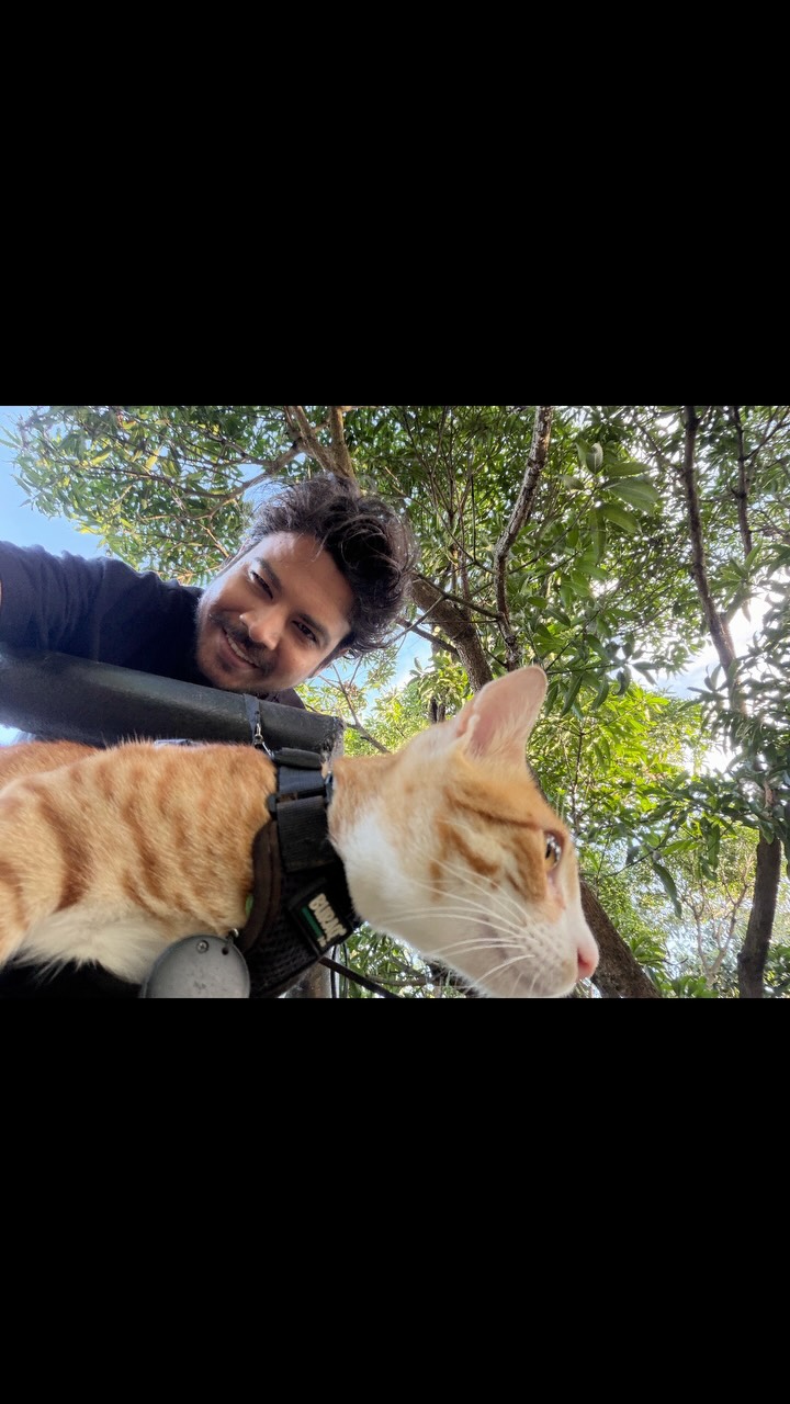 Gremlin explores the terrace